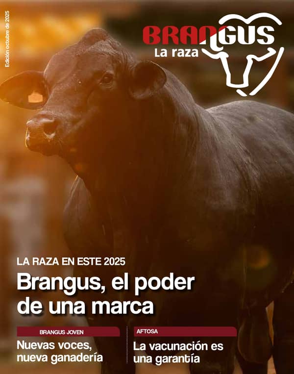 Revista Brangus Noviembre 2025
